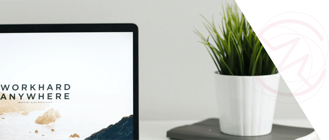bureau ordinateur et plante verte